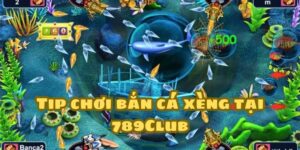 Tip chơi Bắn Cá Xèng cực hiệu quả